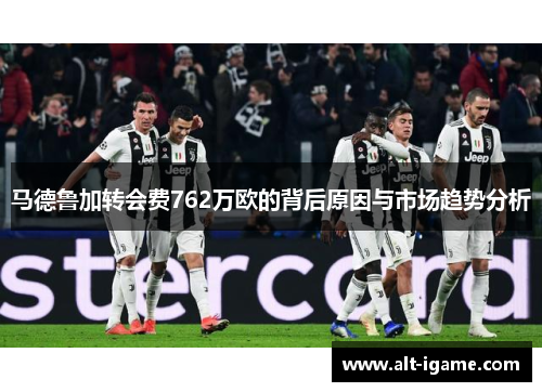 马德鲁加转会费762万欧的背后原因与市场趋势分析